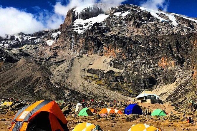 8 days Lemosho route Climbing Mt. Kilimanjaro - Day 7: Summit Night (23:30 Wake) to Uhuru Peak and Back to Mweka
