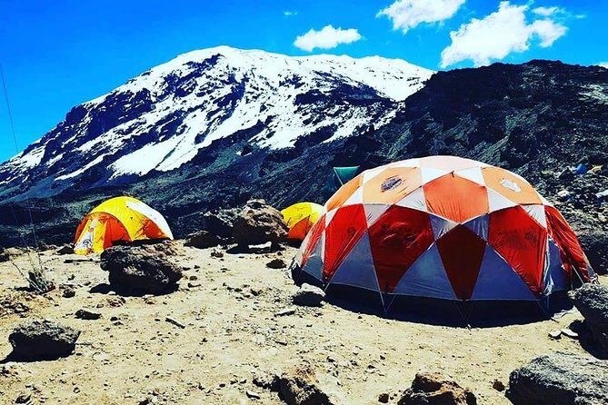 8 days Lemosho route Climbing Mt. Kilimanjaro - Day 1: Londorossi Rain Forest to Your First Camp