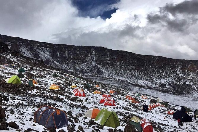 8 Days Lemosho Route Climbing - Mti Mkubwa Camp Day One: Forest Trails, Big Trees, and First-Camp Reality