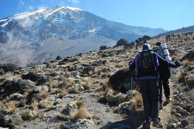 8 Days Lemosho Route Kilimanjaro Trekking - Key points before you commit
