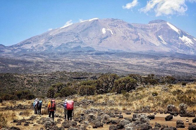 8 Days Lemosho Route Kilimanjaro Trekking - Why the Lemosho Route Feels Like a Smarter Kilimanjaro Plan