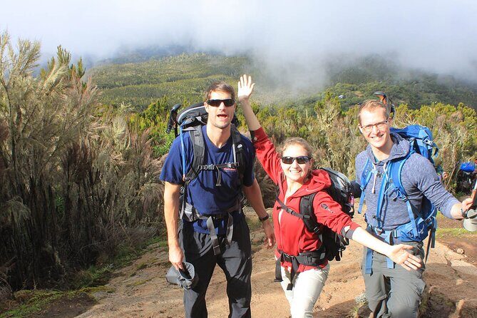 8 Days Mt Kilimanjaro Climb - Lemosho Route - Guides, names you’ll remember, and why the human part counts