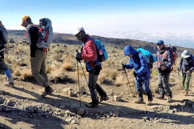 8 Days Mt Kilimanjaro Climb - Lemosho Route - After the peak: Moshi time and getting home without stress