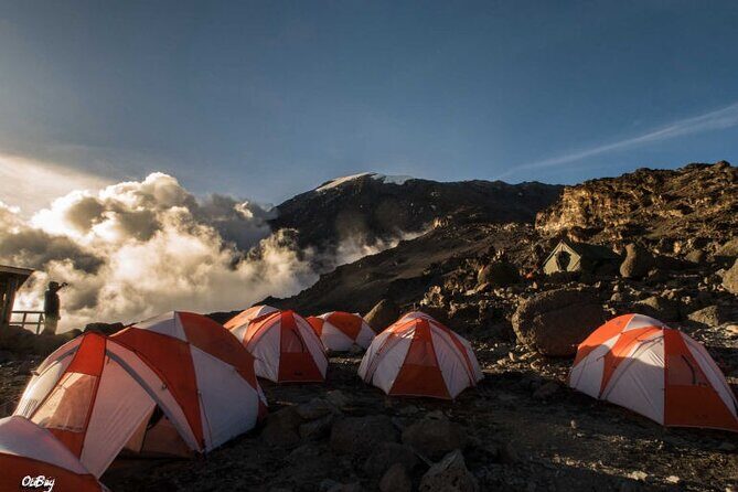 8 Days Mt Kilimanjaro Climb - Lemosho Route - Who this trip is best for (and who should think twice)