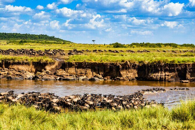 8 Days Private Safari in Serengeti Tour - Day 1 in Arusha: recover, then reset for safari mornings