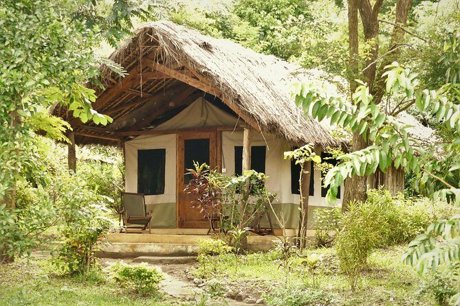 8 Days Safari to Mikumi, Ruaha & Udzungwa Mountains - Entering Tanzania’s Southern Circuit: Why This Route Works