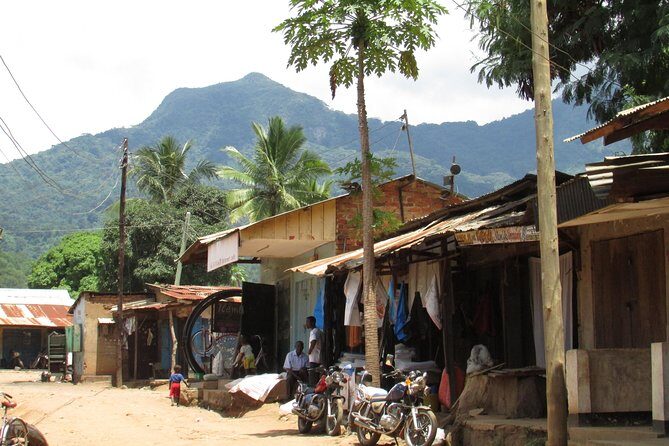 8 Days Safari to Mikumi, Ruaha & Udzungwa Mountains - Isimila Stone Age Site and Kitonga Mountain Lunch: A Break From Safari