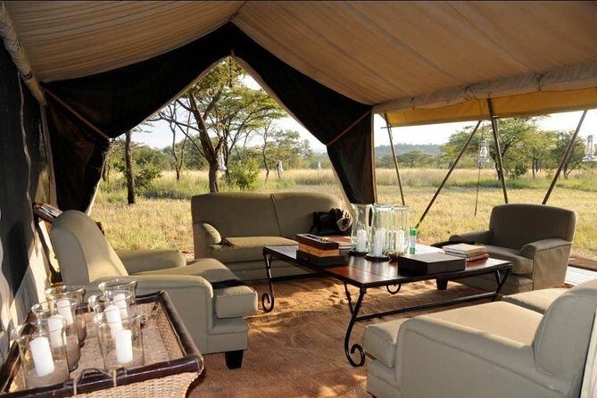 8 Days Tanzania Adventure Tented Camps Safari - Tarangire National Park: Dry-Season Magic Along a Permanent Water Source