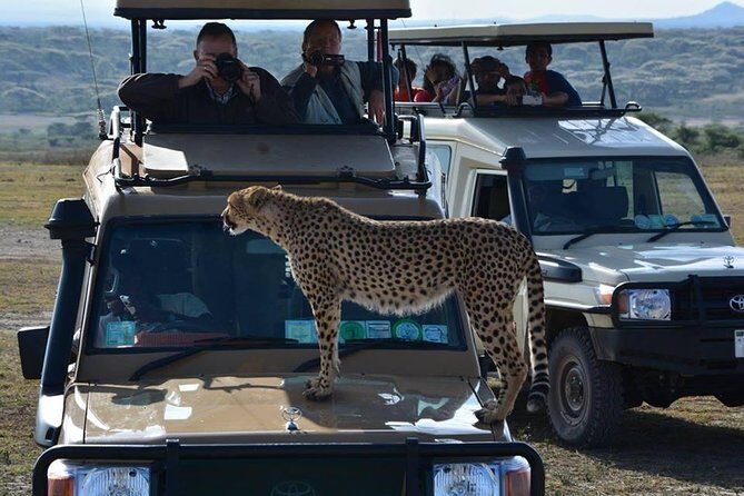8 Days Tanzania Wildlife Safari Experience - Price and Value: What $5,589.75 Gets You (and What It Doesn’t)