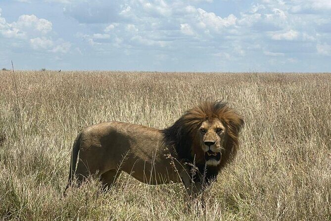 9 Days 8 Nights Walking Safari - Price and value: what $2,688 buys you in Tanzania
