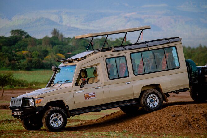 9 Days Great Migration Safaris with Kojuu Safaris Africa-Luxury. - Days 3 to 6 in Serengeti: Mara River crossing time, built over multiple days