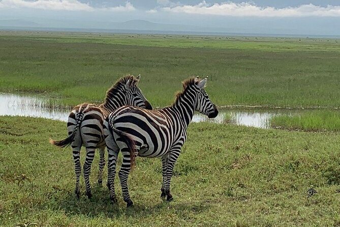 9-Days High End Road and Air Kenya Safari - Thomson Falls Stop and Ol Pejeta Sanctuary with Chimpanzees
