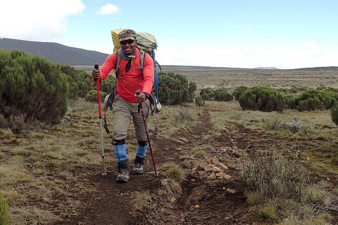 9 Days Kilimanjaro Climb via Lemosho Route - Why the Lemosho Route works (especially in 9 days)