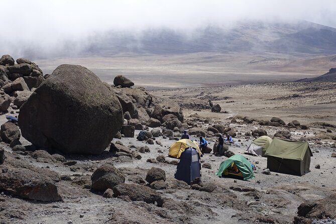 9 Days Kilimanjaro Climb via Lemosho Route - Day 4: Shira 2 Camp and an easier day that helps altitude