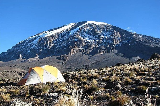 9 Days Kilimanjaro Hiking or Climbing via Northern Circuit route - Key things that make this Northern Circuit climb worth your time