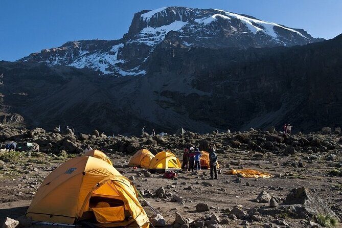 9 Days Kilimanjaro Hiking or Climbing via Northern Circuit route - Day 5: Moir Hut to Buffalo Camp via Lent Hills views