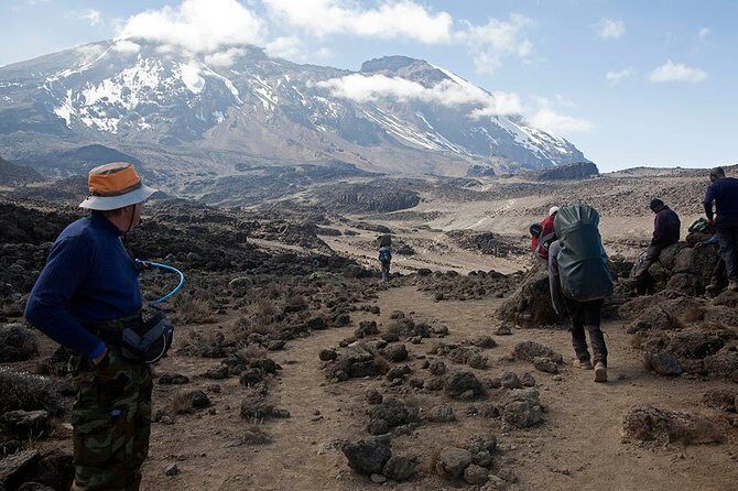 9 Days Kilimanjaro Hiking or Climbing via Northern Circuit route - Day 7: Third Cave to School Hut, plus summit prep