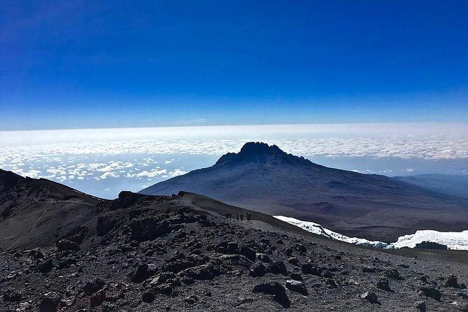 9 Days Kilimanjaro Hiking or Climbing via Northern Circuit route - Day 9: Mweka Camp to Mweka Gate, certificates, and the Moshi finish