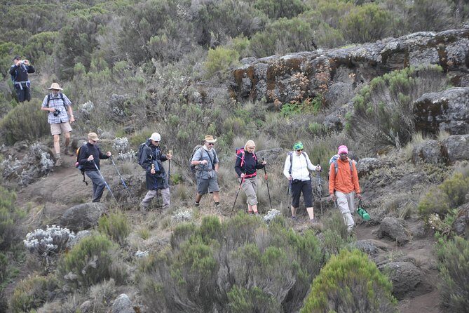 9 Days Mount Kilimanjaro Climb Machame Route - Day 2 from Machame Gate to Machame Camp: rainforest steps and permit work