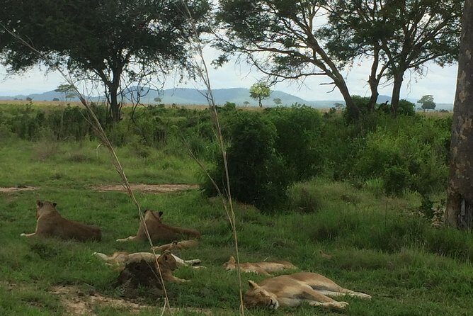 A day trip to mikumi from morogoro - Morogoro to Mikumi: what this day trip is really like
