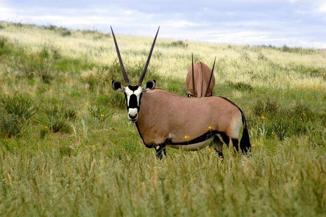 A Day Trip To Saadani National Park From Dar es salaam / Zanzibar - Key highlights you’ll actually care about