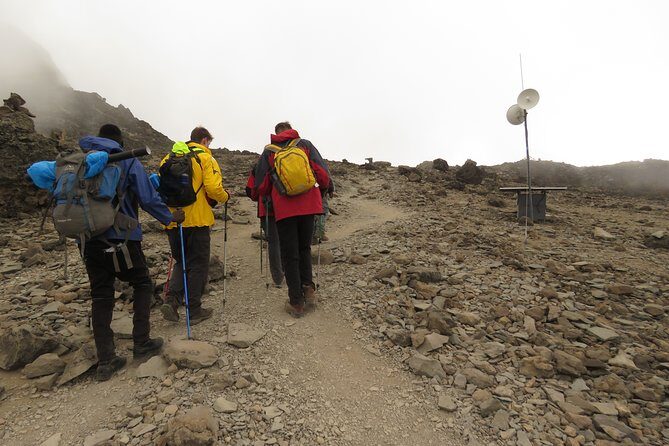 A Definitive Guide For the 7-day Kilimanjaro's Lemosho Route 2025 - Day 4: Moir Hut to Lava Tower to Barranco Camp (13,800 to 13,000 ft)