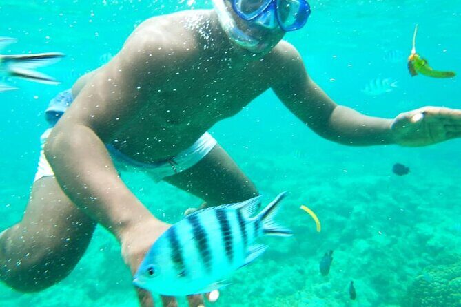 A Full Day Safari Blue Tour And Blue Lagoon - Price and value: what $116 really covers