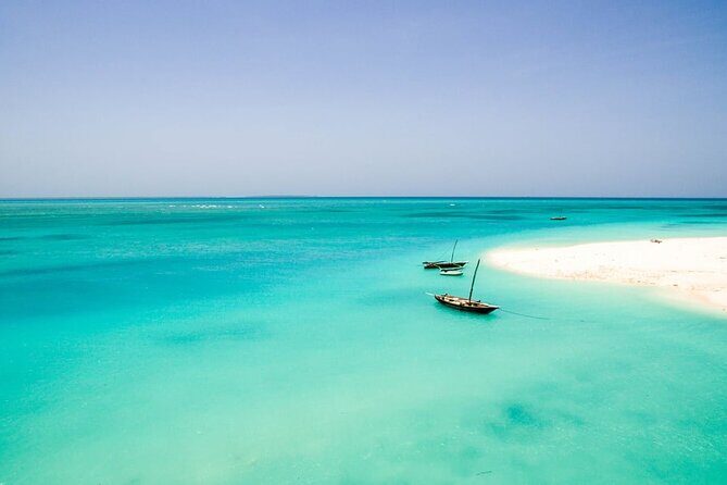 A Half Day Private Dolphins And Snorkeling Tour To Mnemba Island - Why Mnemba Island works so well for a half-day plan