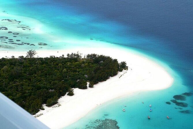 A Half Day Private Dolphins And Snorkeling Tour To Mnemba Island - The sandbank finish: clear water, photos, and tropical fruit