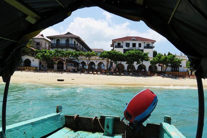 A Half Day Private Prison Island Tour - Wildlife beyond tortoises: peacocks and antelopes