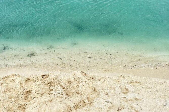A Half Day Private Prison Island Tour - Price of $84 per person: is it good value?