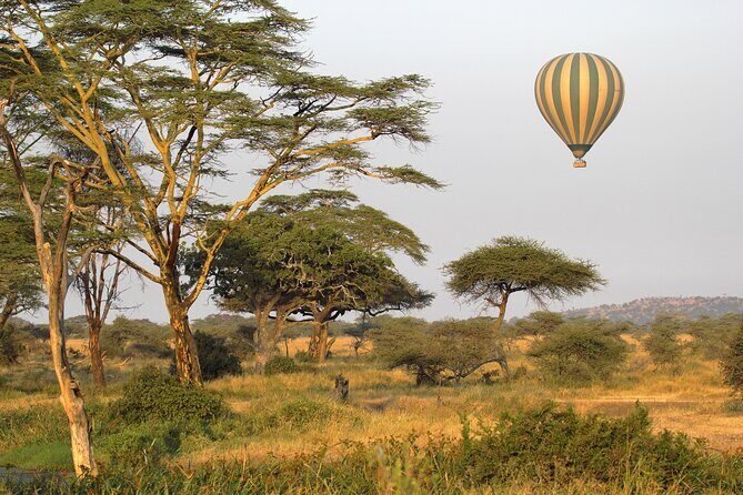 Affordable 3-Day Safari to Serengeti & Ngorongoro Crater - Key highlights worth your attention
