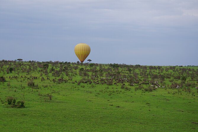 Affordable 3-Day Safari to Serengeti & Ngorongoro Crater - Who this safari fits best (and who should reconsider)