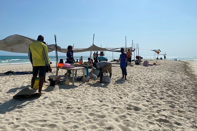 Affordable and Reliable Taxi Services in Zanzibar Island - What the ride feels like: air-conditioning, Wi‑Fi, and bottled water