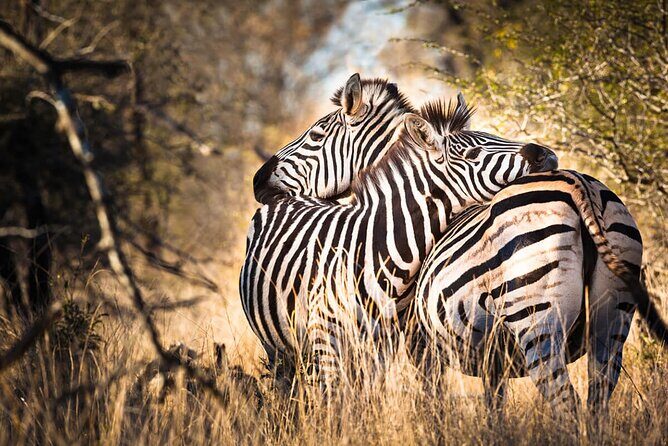 Amazing 4 Days Safari 3 Nights: Tarangire, Ngorongoro, Serengeti - Starting at Kilimanjaro: your first big logistics win