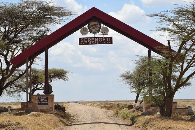 Amazing 4 Days Tanzania Budget Camping Group Joining Safari - Day 3: Full-Day Serengeti Game Drive Energy and the Ngorongoro Rim Night