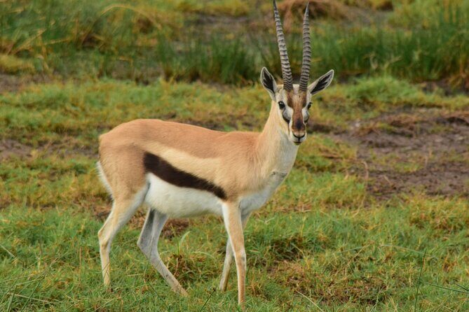 Amazing 4 Days Tanzania Budget Camping Group Joining Safari - Price and Value: What You’re Paying For at $1,283