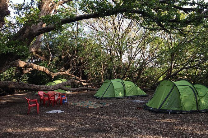 Amazing Chemka (Kikuletwa) Hot Spring Day Trip | BURIGI CHATO SAFARIS CO LTD - Overnight option: when you want the springs after the day-trip crowd