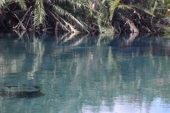 Amazing Chemka (Kikuletwa) Hot Spring Day Trip | BURIGI CHATO SAFARIS CO LTD - Price and value: what $100 includes, and why it feels fair