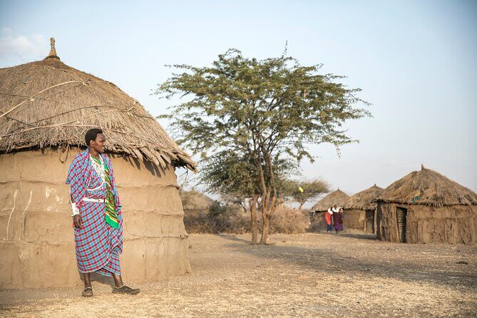 Arusha: 5 days Safari Trip Tarangire, Lake Manyara and Ngorongoro - Guide and driving: why it changes everything
