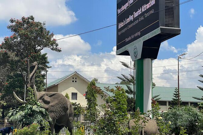 Arusha City Culture and Historical Walking Tour - Getting oriented in Arusha: pickup, pacing, and what’s included