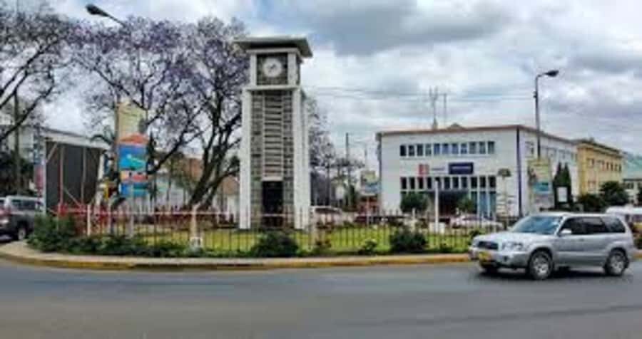 Arusha: City Walking Tour Historic and Modern Highlights - Hotel pickup to the market: the first 20 minutes set the tone