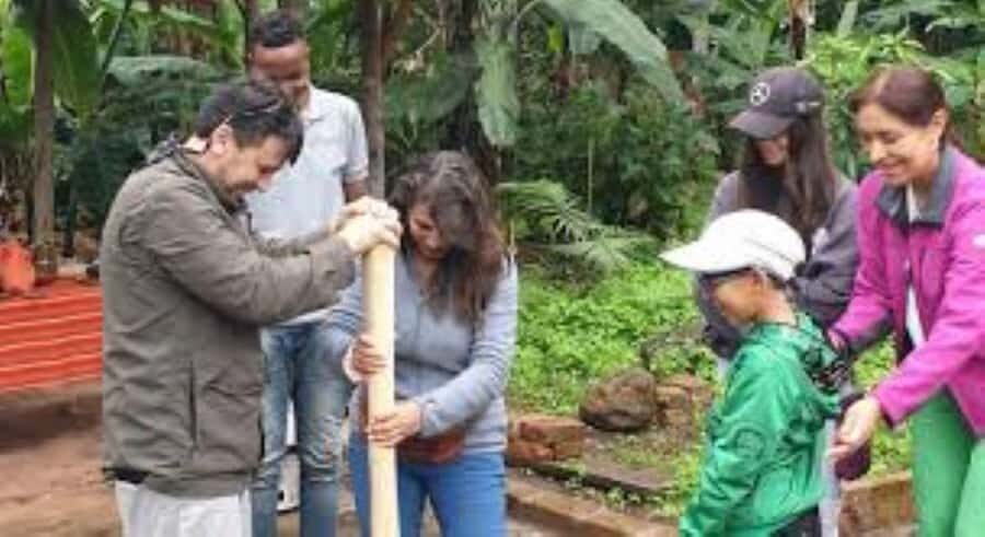 Arusha: Coffee Plantation Tour with Tasting and Hands-On … - Key highlights you’ll actually use