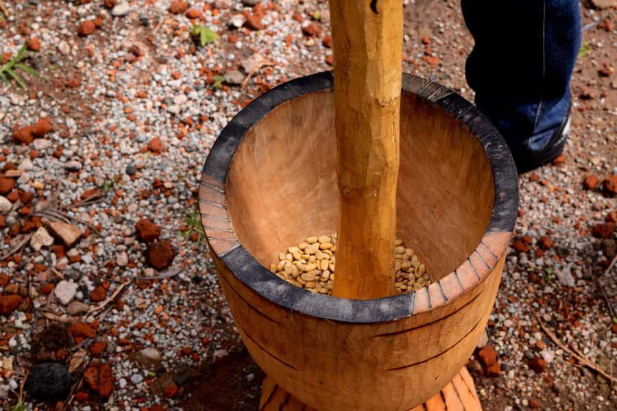 Arusha: Coffee Tour - Who this tour suits best (and who should skip it)