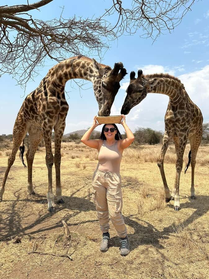 Arusha: Day Trip to Serval Wildlife - Feed Giraffes & Lions - Private Transfers From Arusha or Moshi Set the Tone