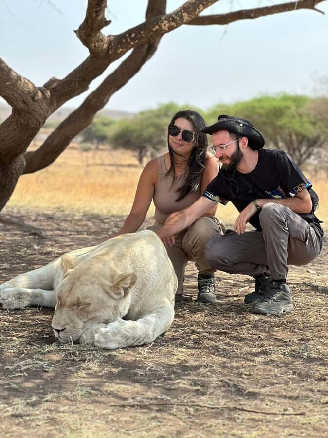 Arusha: Day Trip to Serval Wildlife - Feed Giraffes & Lions - Lion Encounters: Petting and Photos in a Controlled Setup