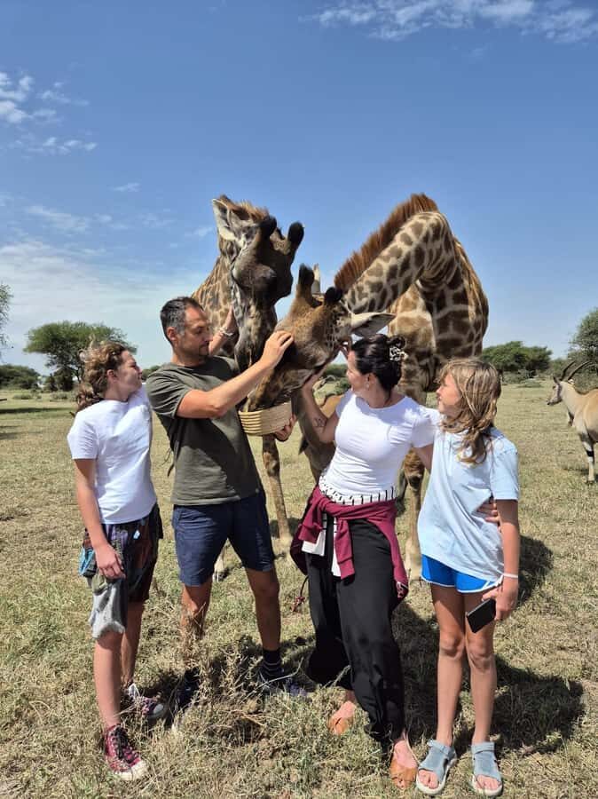 Arusha: Day Trip to Serval Wildlife - Feed Giraffes & Lions - Hand-Feeding Giraffes, Zebras, and More: The Fun Part Isn’t Just Looking
