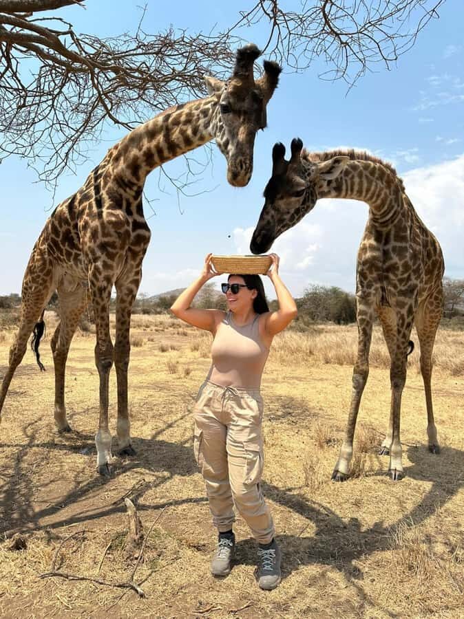 Arusha: Day Trip to Serval Wildlife - Feed Giraffes & Lions - Timing, Drive Time, and Why This Feels Like a Real Day Trip