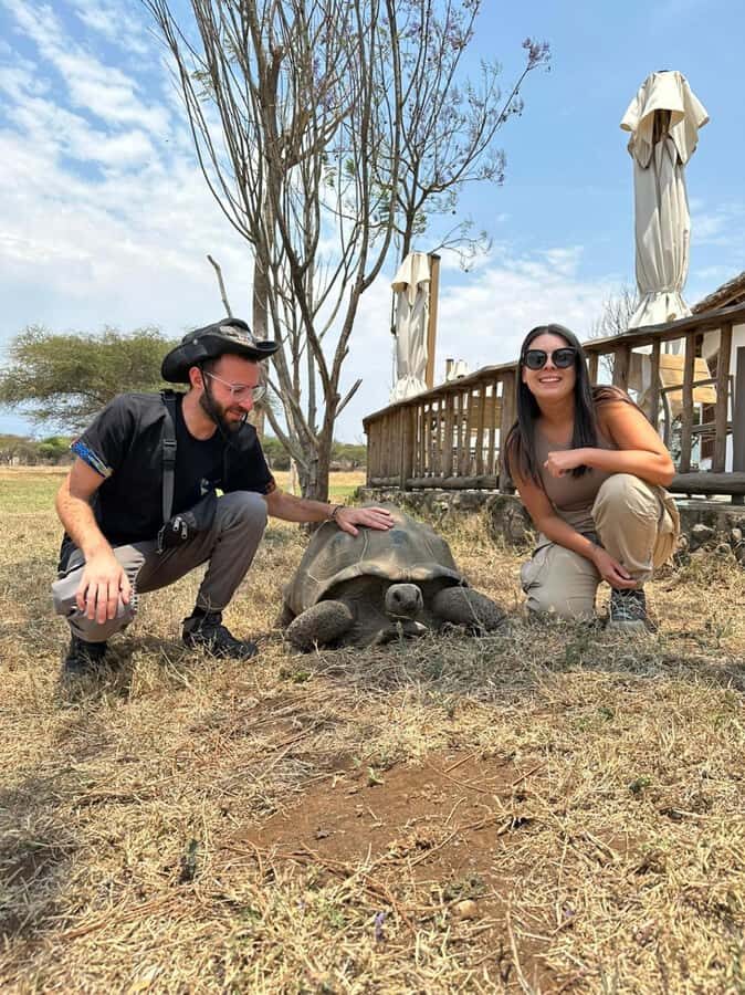 Arusha: Day Trip to Serval Wildlife - Feed Giraffes & Lions - What You’re Really Paying for at $220