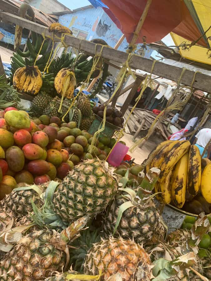 Arusha: Local Tanzanian Cooking Class by Kingstone Asilia - Quick hits before your market-to-farm meal